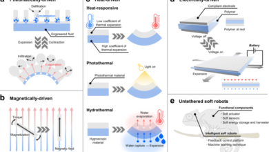 Untethered soft actuators for soft standalone robotics