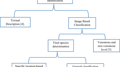 Hierarchical cloud architecture for identifying the bite of “Egyptian cobra” based on deep learning and quantum particle swarm optimization