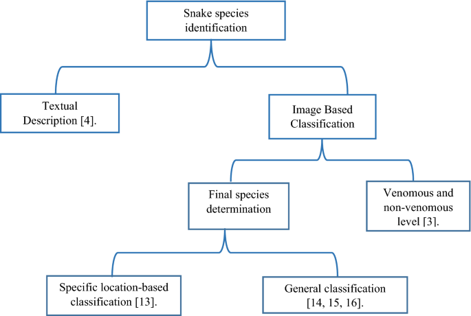 Hierarchical cloud architecture for identifying the bite of “Egyptian cobra” based on deep learning and quantum particle swarm optimization Hierarchical cloud architecture for identifying the bite of “Egyptian cobra” based on deep learning and quantum particle swarm optimization