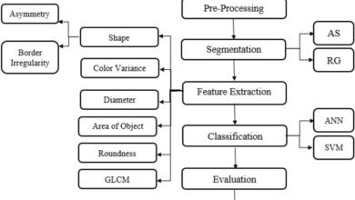 Early automated detection system for skin cancer diagnosis using artificial intelligent techniques