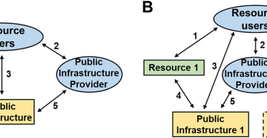 How do substitutability and effort asymmetry change resource management in coupled natural-human systems?