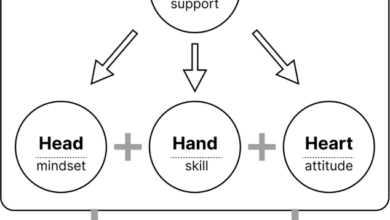 Designing a framework for entrepreneurship education in Chinese higher education: a theoretical exploration and empirical case study