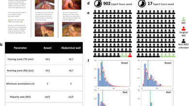 Real-time near infrared artificial intelligence using scalable non-expert crowdsourcing in colorectal surgery