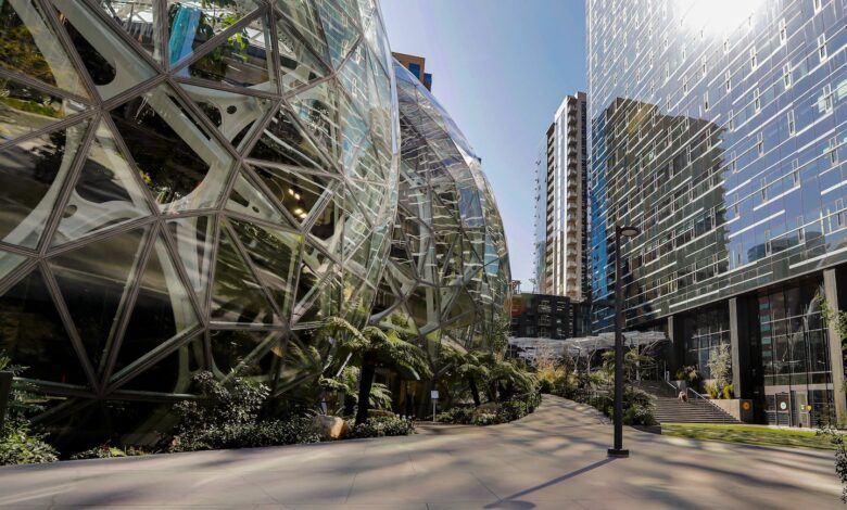 The future of AI will run on Amazon, says company CEO The future of AI will run on Amazon, says company CEO