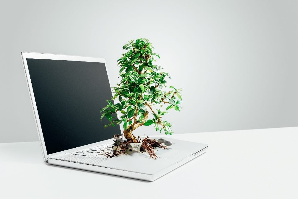 An open silver laptop shows a bonsai tree bursting out off the keyboard in piece about the importance of developing a sustainable website.