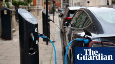 Electric and hybrid car sales to rise to new global record in 2024 | Electric, hybrid and low-emission cars