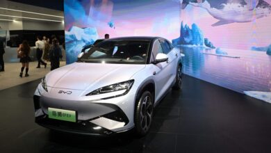 At Least 123 Chinese Carmakers Face Off Against Tesla for EV Dominance