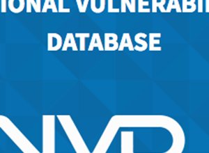 Cybersecurity Pros Urge US Congress to Help NIST Restore NVD Operation