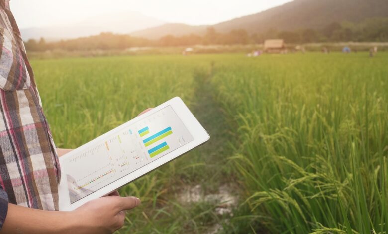 Generative AI set to fundamentally change agriculture Generative AI set to fundamentally change agriculture