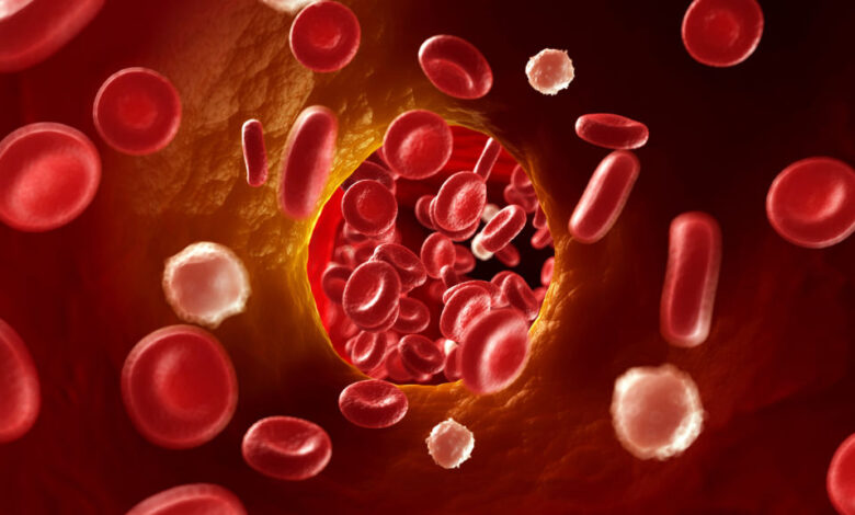 Verve Therapeutics ‘pauses’ tests of its gene editor for heart disease Verve Therapeutics ‘pauses’ tests of its gene editor for heart disease