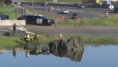 Crash involving electric car leads to hazmat cleanup in Petaluma – NBC Bay Area