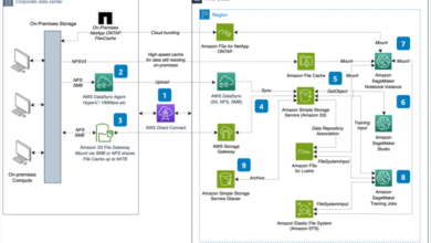 Designing a hybrid AI/ML data access strategy with Amazon SageMaker