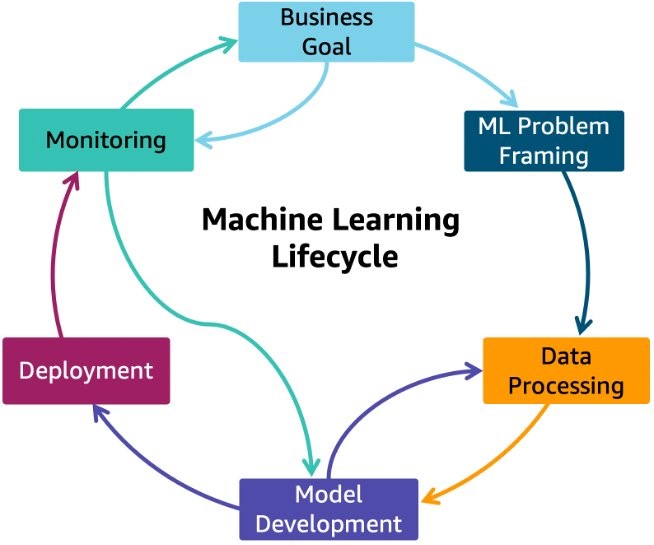 ML lifecycle