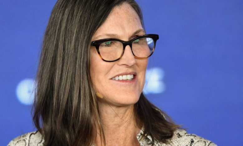 Cathie Wood discloses OpenAI stake, saying it’s ‘at the forefront of a Cambrian explosion in artificial intelligence capability’ Cathie Wood discloses OpenAI stake, saying it’s ‘at the forefront of a Cambrian explosion in artificial intelligence capability’