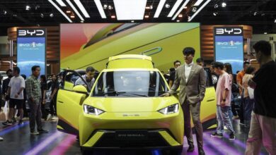 Southeast Asia will be key growth market for Chinese EVs: IEA