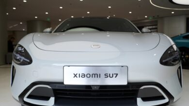 Are Chinese electric vehicles taking over the world? | Explainer News