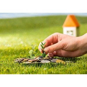 4 Green FinTech start-ups offering sustainable financial solutions 4 Green FinTech start-ups offering sustainable financial solutions