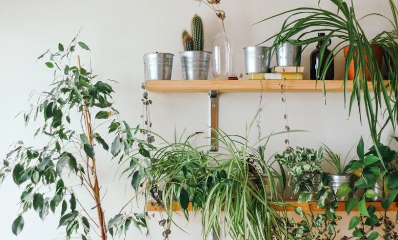 sustainable shoppers want artificial intelligence powered, eco-friendly recommendations — Retail Technology Innovation Hub sustainable shoppers want artificial intelligence powered, eco-friendly recommendations — Retail Technology Innovation Hub