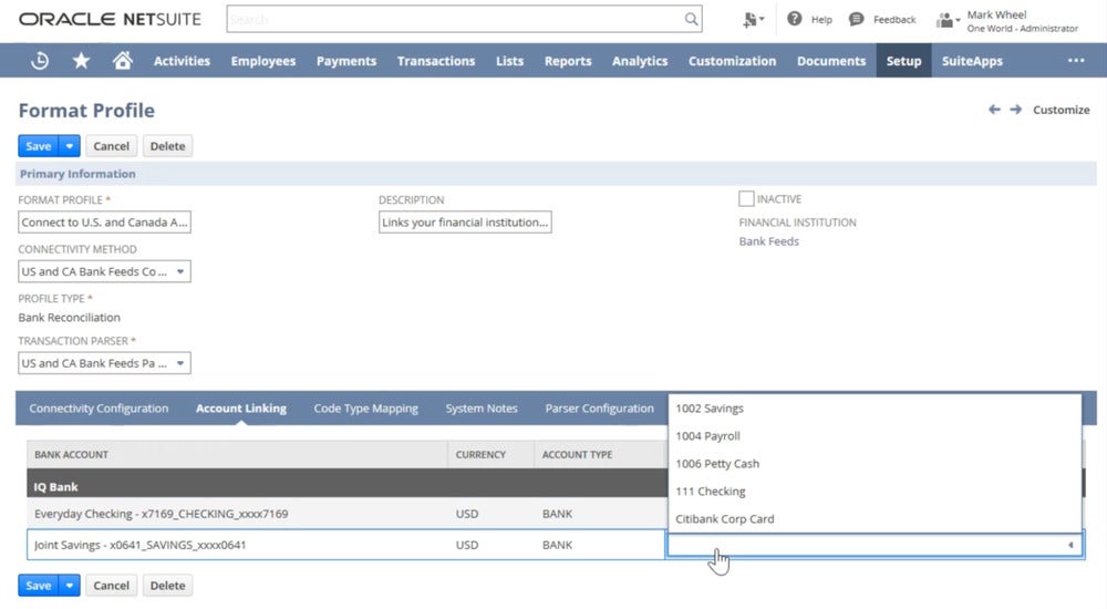 NetSuite’s Bank Feeds SuiteApp reflects all information from your bank account.