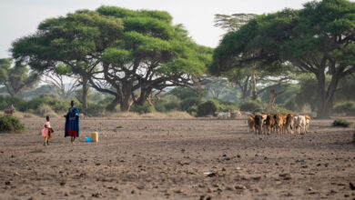 Sustainable Management of Tsavo and Amboseli Landscapes