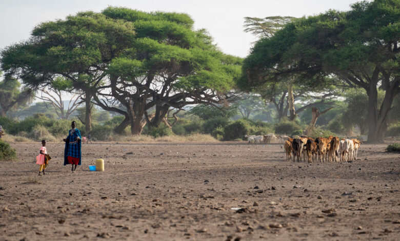 Sustainable Management of Tsavo and Amboseli Landscapes Sustainable Management of Tsavo and Amboseli Landscapes