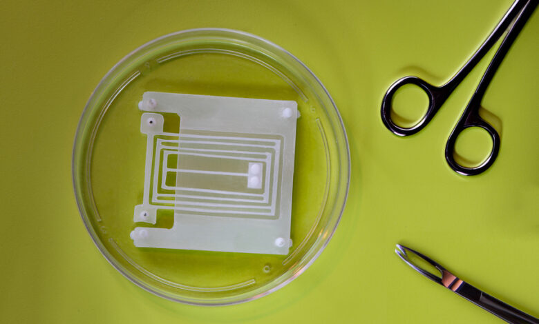 MIT engineers design breakthrough flexure for muscle-powered robots MIT engineers design breakthrough flexure for muscle-powered robots