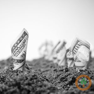 Big data and artificial intelligence will help soybean growers make more profitable decisions Big data and artificial intelligence will help soybean growers make more profitable decisions