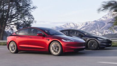 A cheaper Tesla is back on the menu