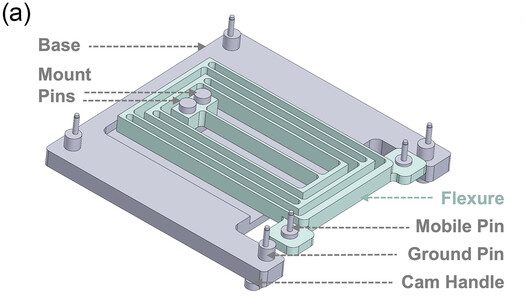 Muscle-basis Actuator