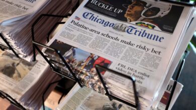 New York Daily News, Chicago Tribune sue OpenAI, Microsoft for data use