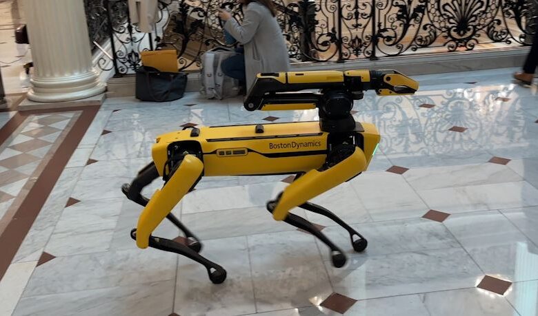 Robot dog advocates for rights at the state house Robot dog advocates for rights at the state house