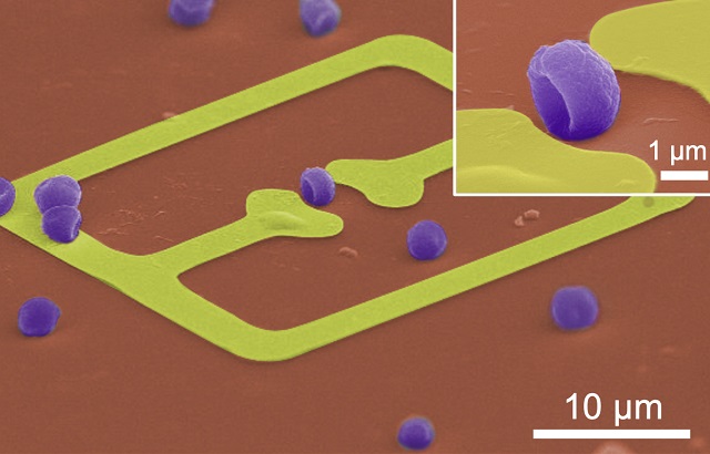 Breakthrough in microplastic detection: Dr SaeJune Park pioneering sensors with future telecommunication technology Breakthrough in microplastic detection: Dr SaeJune Park pioneering sensors with future telecommunication technology