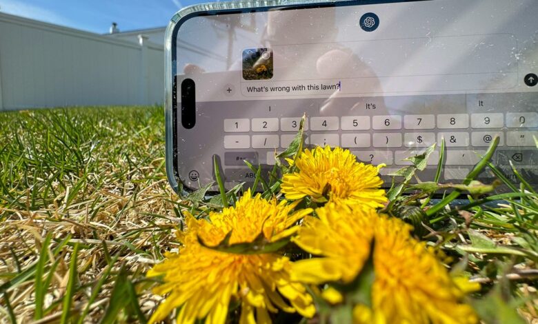 I finally found a practical use for AI, and I may never garden the same way again