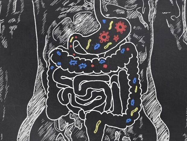 New generative AI tool models the infant microbiome New generative AI tool models the infant microbiome