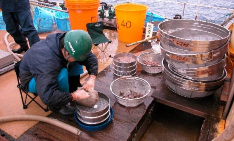 INTERVIEW | Sustainable Resource Management is Still the Key Goal for Japanese Whaling ー Tsutomu Tamura INTERVIEW | Sustainable Resource Management is Still the Key Goal for Japanese Whaling ー Tsutomu Tamura