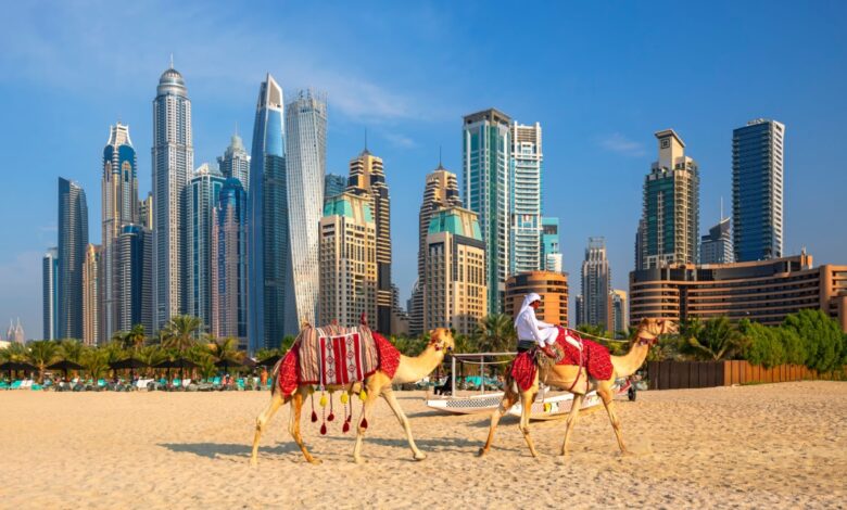US Looks to Forge AI Partnerships With UAE US Looks to Forge AI Partnerships With UAE