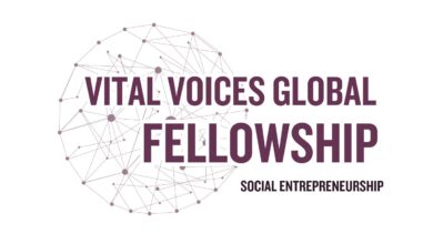 Vital Voices Global Fellowship – Social Entrepreneurship Pillar