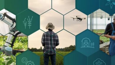 NSF and USDA join forces to boost innovation in agricultural robotics | NSF