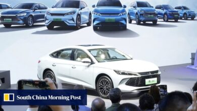 China EV price war to worsen as market share takes priority over profit, hastening demise of smaller players