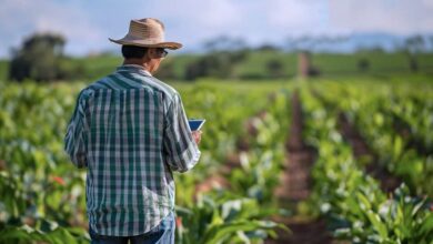 Can AI and Big Data Solve Latin America’s Farming Woes?