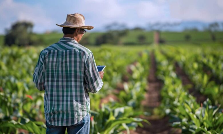 Can AI and Big Data Solve Latin America’s Farming Woes? Can AI and Big Data Solve Latin America’s Farming Woes?