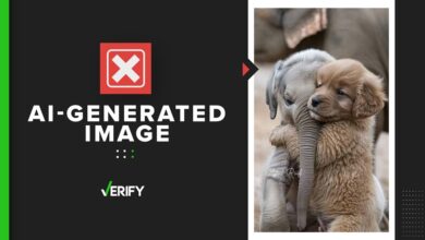 Generative AI used to create viral puppy and baby elephant pic