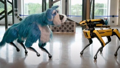 Boston Dynamics Shows Off Robodog With Fur