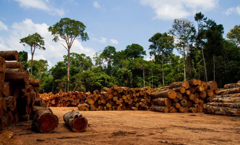 The Sustainable Use of Natural Resources: The Governance Challenge The Sustainable Use of Natural Resources: The Governance Challenge