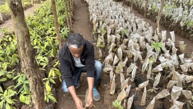 Natural resources management in Ethiopia