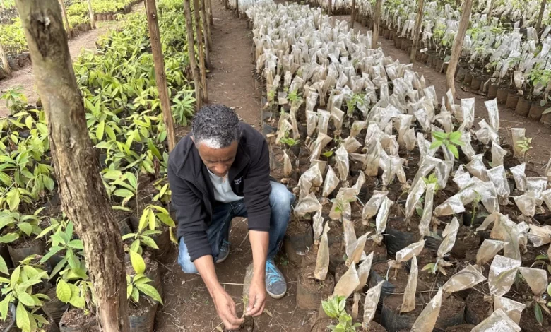 Natural resources management in Ethiopia Natural resources management in Ethiopia