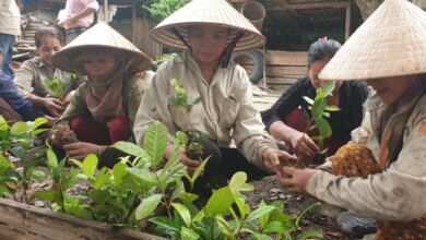 Mainstreaming Natural Resource Management and Biodiversity Conservation Objectives into Socio-Economic Development Planning and Management of Biosphere Reserve in Viet Nam