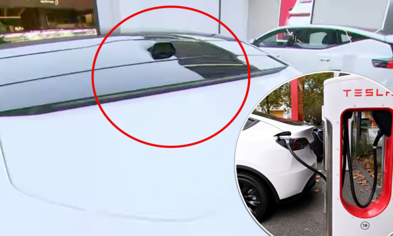 Feature in Tesla rival aims to change Aussie cars forever Feature in Tesla rival aims to change Aussie cars forever