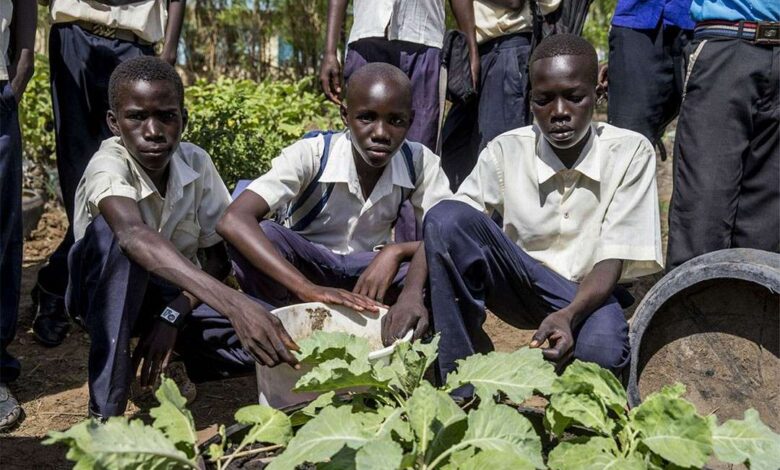 South Sudan First State of Environment Report Emphasizes Sustainable Resource Management for Peace | News | SDG Knowledge Hub South Sudan First State of Environment Report Emphasizes Sustainable Resource Management for Peace | News | SDG Knowledge Hub