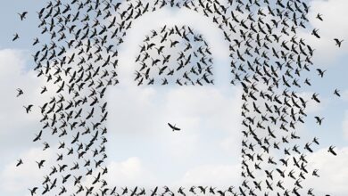 Quick Study: Security and the Cloud